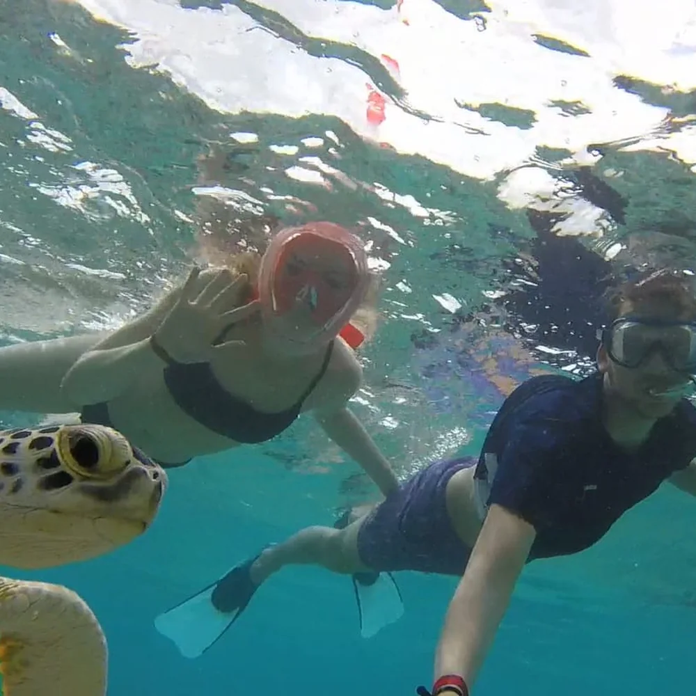 Snorkelen bij een zeeschildpad op Bonaire.